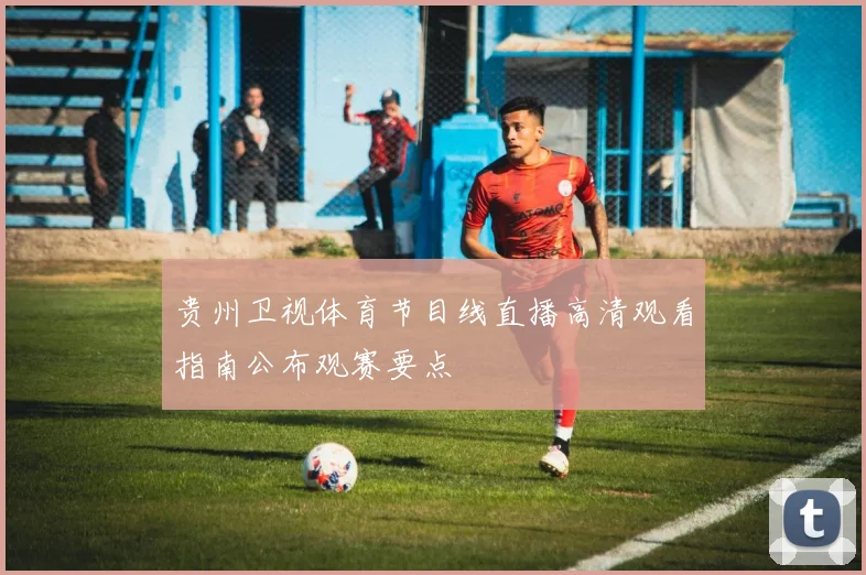 贵州卫视体育节目线直播高清观看指南公布观赛要点