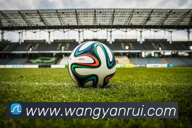 买球官方平台生态图